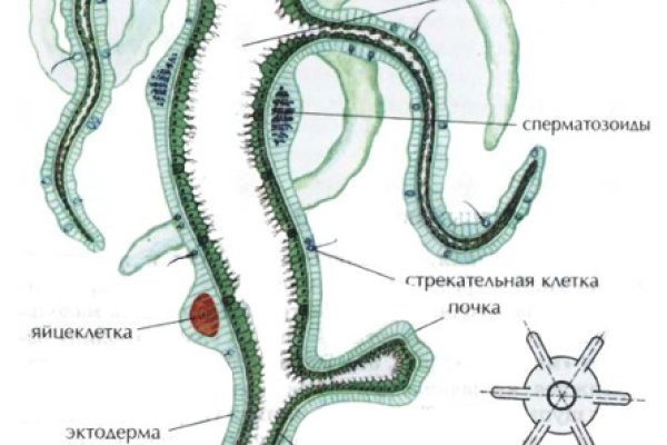Найти ссылку кракен